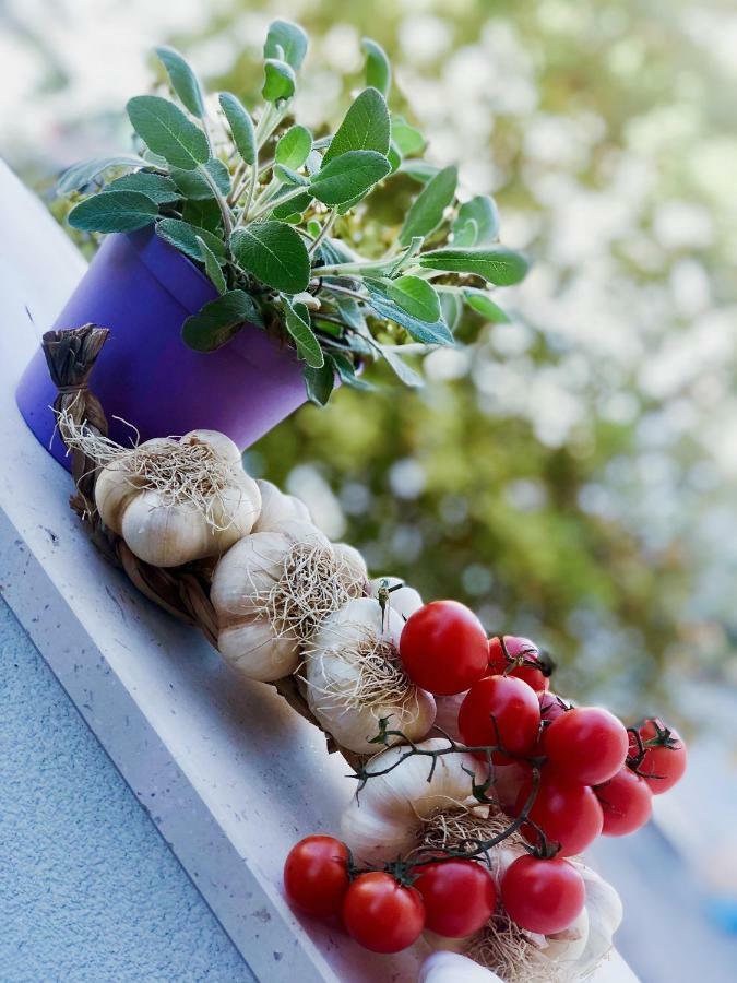 Colourful Living Apartment Monopoli Exterior photo